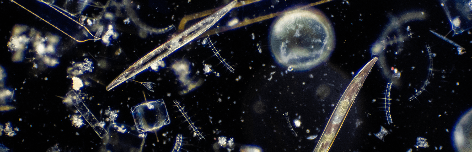 Banner background