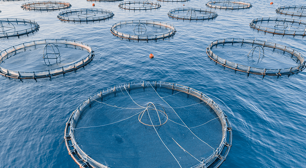 Aquaculture